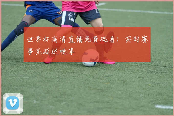 世界杯高清直播免费观看:实时赛事无延迟畅享